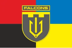 Флаг 2 ББпС (батальон беспилотных систем) «Falcons» 117 ОБрТрО ВСУ. Вариант-09