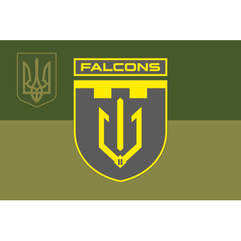 Прапор 2 ББпС (батальйон безпілотних систем) «Falcons» 117 ОБрТрО ЗСУ. Варіант-10