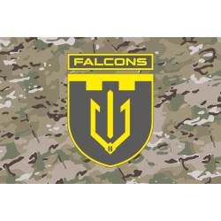 Флаг 2 ББпС (батальон беспилотных систем) «Falcons» 117 ОБрТрО ВСУ. Вариант-11 Флаг 2 ББпС (батальон беспилотных систем) «Falcons» 117 ОБрТрО ВСУ. Вариант-11