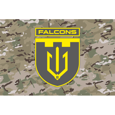 Прапор 2 ББпС (батальйон безпілотних систем) «Falcons» 117 ОБрТрО ЗСУ. Варіант-11