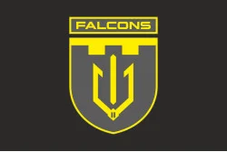 Флаг 2 ББпС (батальон беспилотных систем) «Falcons» 117 ОБрТрО ВСУ. Вариант-12