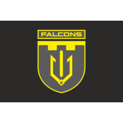 Флаг 2 ББпС (батальон беспилотных систем) «Falcons» 117 ОБрТрО ВСУ. Вариант-12 Флаг 2 ББпС (батальон беспилотных систем) «Falcons» 117 ОБрТрО ВСУ. Вариант-12