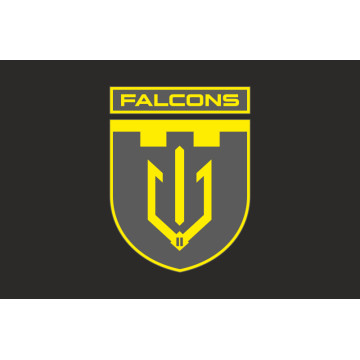 Флаг 2 ББпС (батальон беспилотных систем) «Falcons» 117 ОБрТрО ВСУ. Вариант-12 Флаг 2 ББпС (батальон беспилотных систем) «Falcons» 117 ОБрТрО ВСУ. Вариант-12