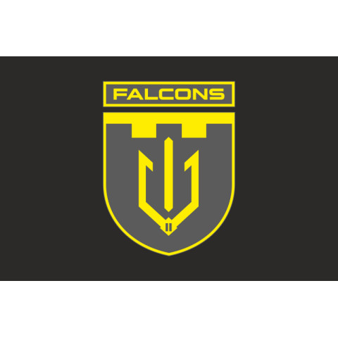 Прапор 2 ББпС (батальйон безпілотних систем) «Falcons» 117 ОБрТрО ЗСУ. Варіант-12