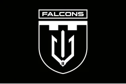 Флаг 2 ББпС (батальон беспилотных систем) «Falcons» 117 ОБрТрО ВСУ. Вариант-13