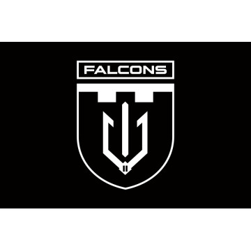 Флаг 2 ББпС (батальон беспилотных систем) «Falcons» 117 ОБрТрО ВСУ. Вариант-13 Флаг 2 ББпС (батальон беспилотных систем) «Falcons» 117 ОБрТрО ВСУ. Вариант-13
