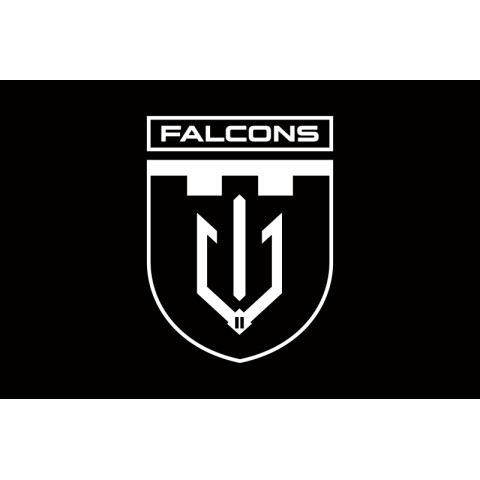 Прапор 2 ББпС (батальйон безпілотних систем) «Falcons» 117 ОБрТрО ЗСУ. Варіант-13