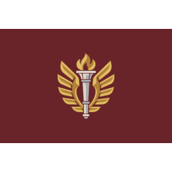 Прапор 199 НЦ (навчальний центр) ДШВ ЗСУ. Варіант-07 Прапор 199 НЦ (навчальний центр) ДШВ ЗСУ. Варіант-07