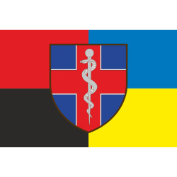 Флаг ВМКЦ ВР (Военно-медицинский клинический центр Восточного региона) МОУ. Вариант-07