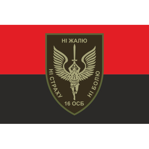 Флаг 16 ОСБ (отдельный стрелковый батальон) ВСУ. Вариант-03