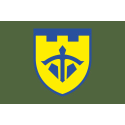 Прапор 243 ОБТрО (окремий батальйон Територіальної оборони) ЗСУ. Варіант-05 Прапор 243 ОБТрО (окремий батальйон Територіальної оборони) ЗСУ. Варіант-05