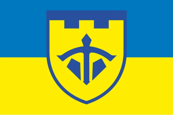 Флаг 243 ОБТрО (отдельный батальон Территориальной обороны) ВСУ. Вариант-06