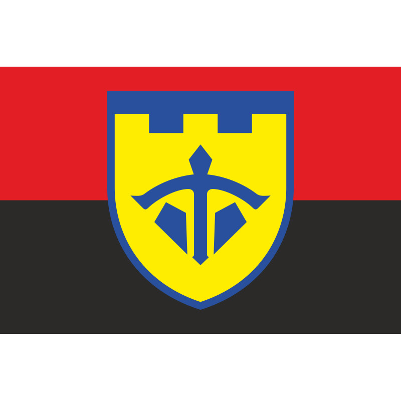 Прапор 243 ОБТрО (окремий батальйон Територіальної оборони) ЗСУ. Варіант-07 Прапор 243 ОБТрО (окремий батальйон Територіальної оборони) ЗСУ. Варіант-07