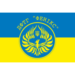 Флаг ДФТО «ФЕНИКС». Вариант-01