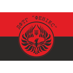 Флаг ДФТО «ФЕНИКС». Вариант-02