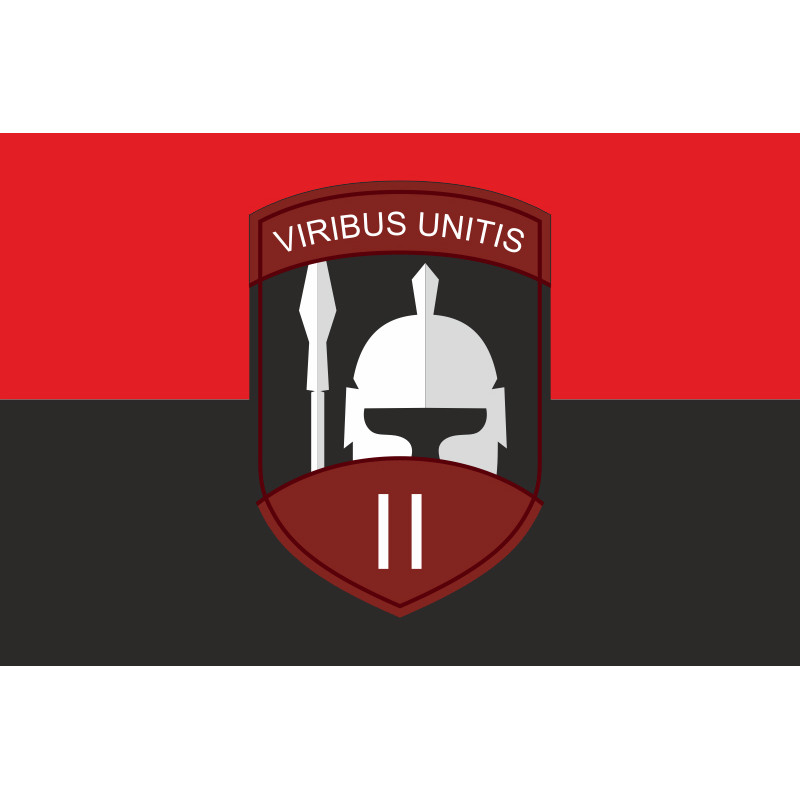 Флаг 2 батальона Интернационального легиона Украины. Вариант-05 Флаг 2 батальона Интернационального легиона Украины. Вариант-05