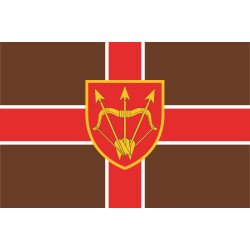 Флаг Белоцерковского военного госпиталя МОУ. Вариант-05