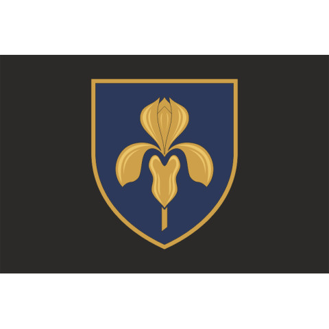 Флаг 11 ЗРБр (зенитная ракетная бригада) ВСУ. Вариант-14 Флаг 11 ЗРБр (зенитная ракетная бригада) ВСУ. Вариант-14