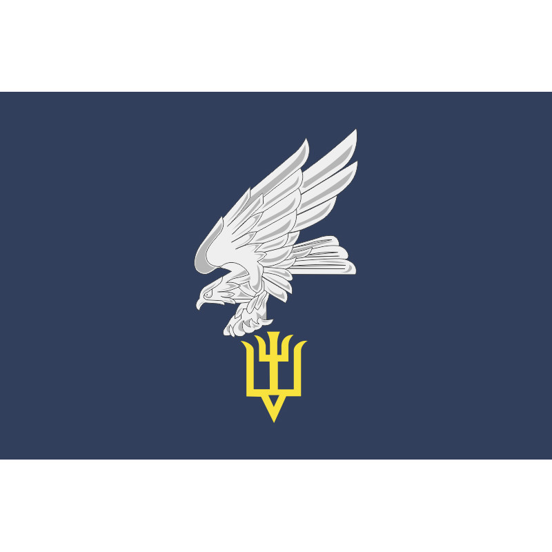 Прапор 15 БрТрА (бригада транспортної авіації) ЗСУ. Варіант-15 Прапор 15 БрТрА (бригада транспортної авіації) ЗСУ. Варіант-15