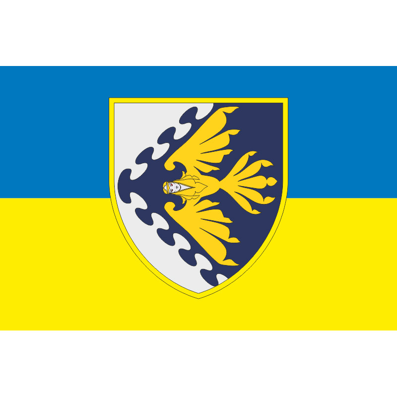 Прапор 193 ЦУО (центр управління та оповіщення) ПС ЗСУ. Варіант-03 Прапор 193 ЦУО (центр управління та оповіщення) ПС ЗСУ. Варіант-03