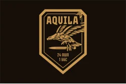 Флаг 1 ББпС (батальон беспилотных систем) «AQUILA» 24 ОШП ВСУ «Айдар». Вариант-02 Флаг 1 ББпС (батальон беспилотных систем) «AQUILA» 24 ОШП ВСУ «Айдар». Вариант-02