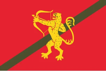 Флаг 1021 ЗАП (зенитный артиллерийский полк) ВСУ. Вариант-12