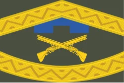 Прапор 207 ЦПСС (центр підготовки сержантського складу) сил ТрО ЗСУ. Варіант-01 Прапор 207 ЦПСС (центр підготовки сержантського складу) сил ТрО ЗСУ. Варіант-01