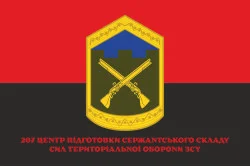 Прапор 207 ЦПСС (центр підготовки сержантського складу) сил ТрО ЗСУ. Варіант-06 Прапор 207 ЦПСС (центр підготовки сержантського складу) сил ТрО ЗСУ. Варіант-06