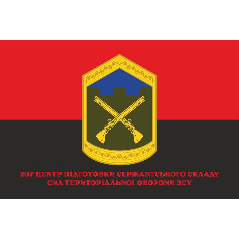 Флаг 207 ЦПСС (центр подготовки сержантского состава) сил ТрО ВСУ. Вариант-06 Флаг 207 ЦПСС (центр подготовки сержантского состава) сил ТрО ВСУ. Вариант-06