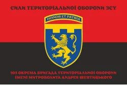Прапор 103 ОБрТрО ЗСУ (окрема бригада територіальної оборони). Варіант-20