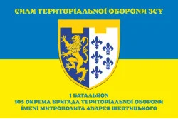 Флаг 1 Батальона 103 ОБрТрО ВСУ. Вариант-08 Флаг 1 Батальона 103 ОБрТрО ВСУ. Вариант-08