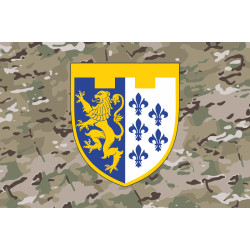 Флаг 1 Батальона 103 ОБрТрО ВСУ. Вариант-13