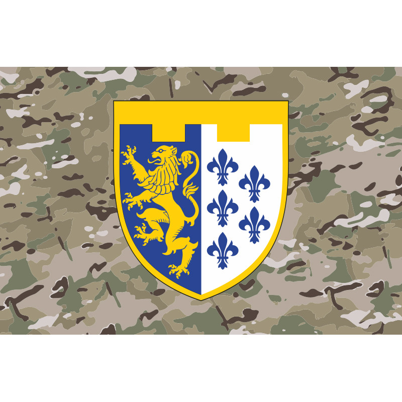 Прапор 1 Батальйону 103 ОБрТрО ЗСУ. Варіант-13 Прапор 1 Батальйону 103 ОБрТрО ЗСУ. Варіант-13