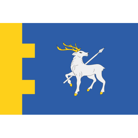 Прапор 123 ОБрТрО ЗСУ (окрема бригада територіальної оборони). Варіант-13
