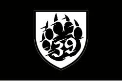 Флаг ББпС «Медведи» 39 БрБО МП ВМС ВСУ. Вариант-14
