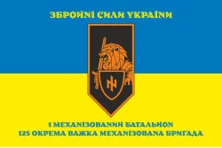 Флаг 1 МБ (механизированный батальон) 125 ОТМБр ВСУ. Вариант-08 Флаг 1 МБ (механизированный батальон) 125 ОТМБр ВСУ. Вариант-08