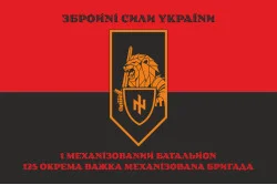 Флаг 1 МБ (механизированный батальон) 125 ОТМБр ВСУ. Вариант-10 Флаг 1 МБ (механизированный батальон) 125 ОТМБр ВСУ. Вариант-10