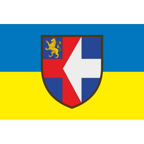 Прапор 66 ВМГ (військовий мобільний госпіталь) ЗСУ. Варіант-01