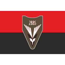 Флаг 2 ББпС (батальон беспилотных систем) 122 ОБрТрО ВСУ. Вариант-07 Флаг 2 ББпС (батальон беспилотных систем) 122 ОБрТрО ВСУ. Вариант-07