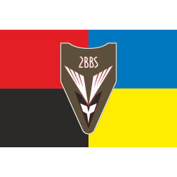 Флаг 2 ББпС (батальон беспилотных систем) 122 ОБрТрО ВСУ. Вариант-09 Флаг 2 ББпС (батальон беспилотных систем) 122 ОБрТрО ВСУ. Вариант-09