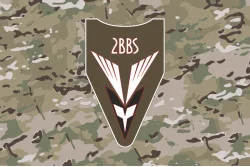 Флаг 2 ББпС (батальон беспилотных систем) 122 ОБрТрО ВСУ. Вариант-11 Флаг 2 ББпС (батальон беспилотных систем) 122 ОБрТрО ВСУ. Вариант-11