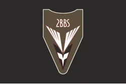Флаг 2 ББпС (батальон беспилотных систем) 122 ОБрТрО ВСУ. Вариант-12 Флаг 2 ББпС (батальон беспилотных систем) 122 ОБрТрО ВСУ. Вариант-12