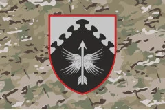 Флаг 438 ББпС (батальон беспилотных систем) ВС ВСУ. Вариант-14