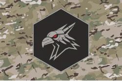 Флаг 424 ОББС (отдельный батальон беспилотных систем) ВСУ «SVAROG». Вариант-25 Флаг 424 ОББС (отдельный батальон беспилотных систем) ВСУ «SVAROG». Вариант-25