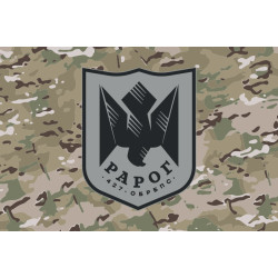 Прапор 427 ОБрБпС (окрема бригада безпілотних систем) ЗСУ «Рарог». Варіант-10 Прапор 427 ОБрБпС (окрема бригада безпілотних систем) ЗСУ «Рарог». Варіант-10