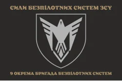 Флаг 9 ОБрБпС (отдельная бригада беспилотных систем) ВСУ «Винницкие скифы». Вариант-34 Флаг 9 ОБрБпС (отдельная бригада беспилотных систем) ВСУ «Винницкие скифы». Вариант-34