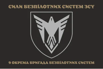 Флаг 9 ОБрБпС (отдельная бригада беспилотных систем) ВСУ «Винницкие скифы». Вариант-34