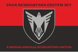 Флаг 9 ОБрБпС (отдельная бригада беспилотных систем) ВСУ «Винницкие скифы». Вариант-38 Флаг 9 ОБрБпС (отдельная бригада беспилотных систем) ВСУ «Винницкие скифы». Вариант-38