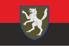 Флаг 50 ОМБр (отдельная механизированная бригада) ВСУ. Вариант-03
