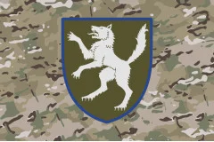 Флаг 50 ОМБр (отдельная механизированная бригада) ВСУ. Вариант-06